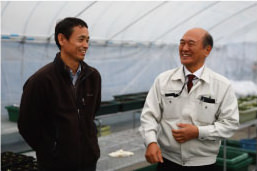 しょうどしま長命草プロジェクトの様子