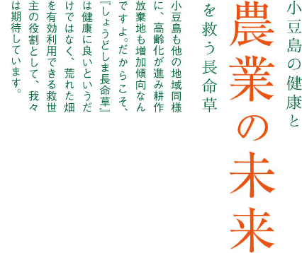 小豆島の健康と農業の未来を救う長命草。小豆島も他の地域同様に、高齢化が進み耕作放棄地も増加傾向なんですよ。だからこそ、『しょうどしま長命草』は健康に良いというだけではなく、荒れた畑を有効利用できる救世主の役割として、我々は期待しています。