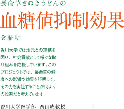 長命草さぬきうどんの血糖値抑制効果を証明。香川大学では地元との連携を図り、社会貢献として様々な取り組みを応援しています。このプロジェクトでは、長命草の健康への影響や効果を証明して、その力を実証することが何よりの役割だと考えています。