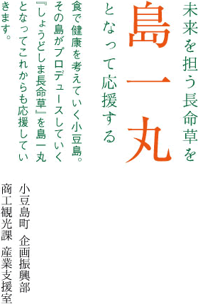未来を担う長命草を島一丸となって応援する。食で健康を考えていく小豆島。その島がプロデュースしていく『しょうどしま長命草』を島一丸となってこれからも応援していきます。