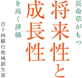 長命草がもつ将来性と成長性を高く評価。百十四銀行地域創生部