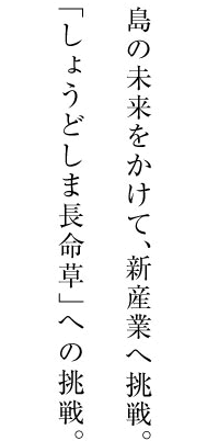 島の未来をかけて、新産業へ挑戦。「しょうどしま長命草」への挑戦。