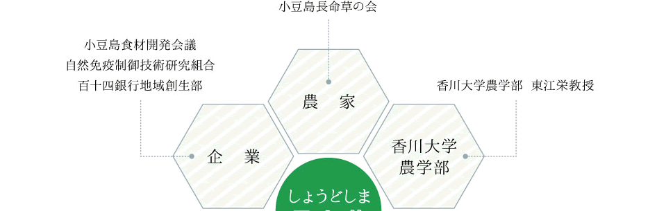 まるごと小豆島の組織図